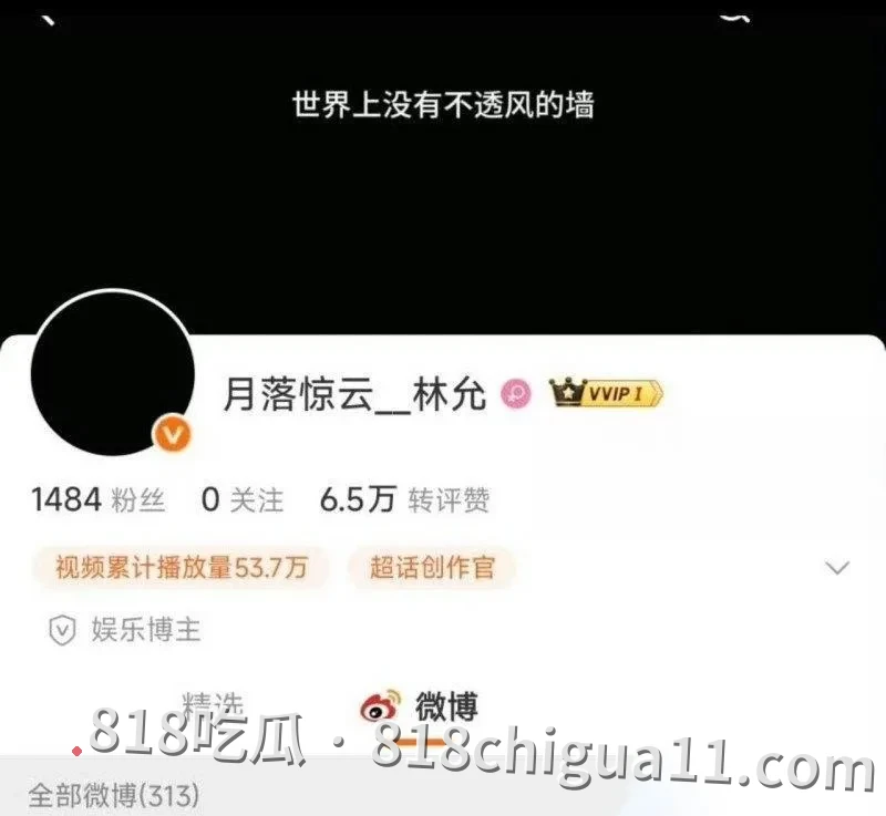 知名喜剧演员沈腾疑似与年轻女演员林允维持秘密恋情长达三年,在海外诞下一子获得正牌妻子默许,同时网络上也开始流传两人在国外度假时的性爱视频。
