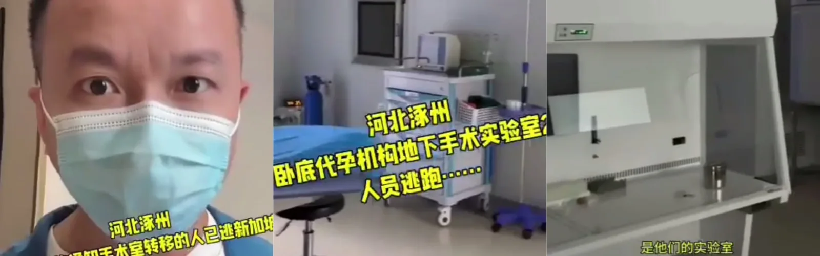 半年卧底遭遇“5分钟空城计”：代孕窝点是谁在通风报信？
