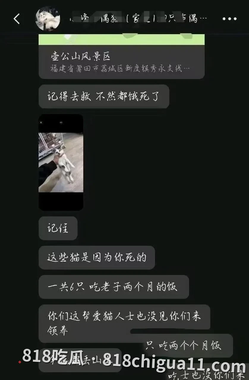 抖音千万粉丝训猫网红小峰私生活曝光:暗地里虐待宠物,同时偷拍女顾客私密照片,利用这些资源强暴母狗跟他做爱。