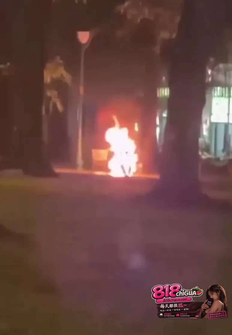繁华街头的烈火惊魂:越南圣母大教堂旁突发自焚,敲响生命与心理健康的双重警钟