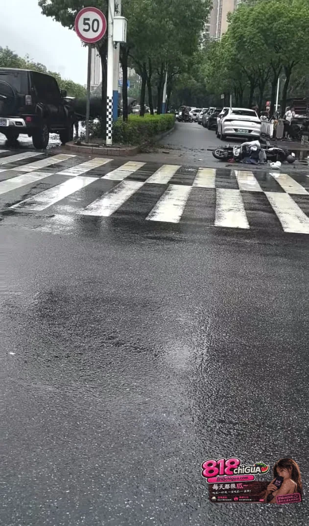 突发！宁德万安东路水牛失控连撞人车，警方紧急出手