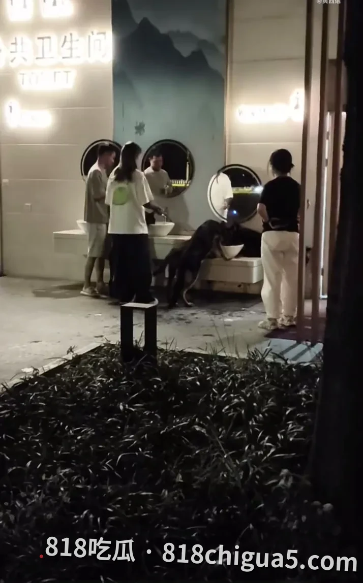 深夜遛狗大型犬不牵绳冲进中国卫生间洗手池疯狂“戏水”!小区居民目击惊呼:这些巨兽到底是来玩的还是来祸害全家的?