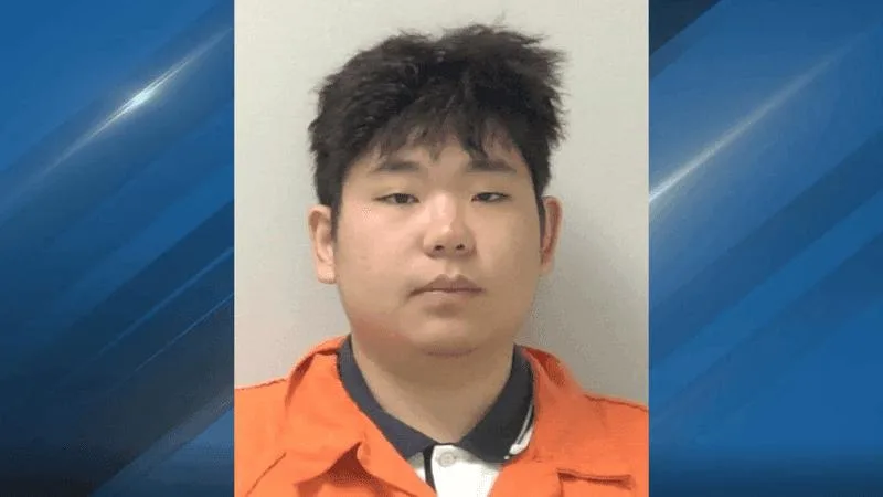 涉嫌诈骗逾100万美元，中国籍男子被捕