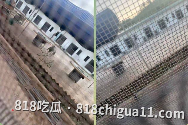 网友爆料：缅甸“智慧集团”离职时，要付3944美元，不交钱不让出园区