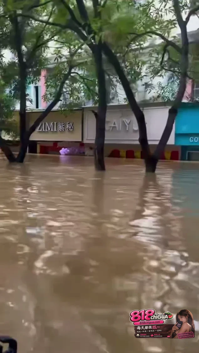 台风“紫檀”重创广西宁明:明江遭遇建站最大洪水,多方驰援筑牢生死防线
