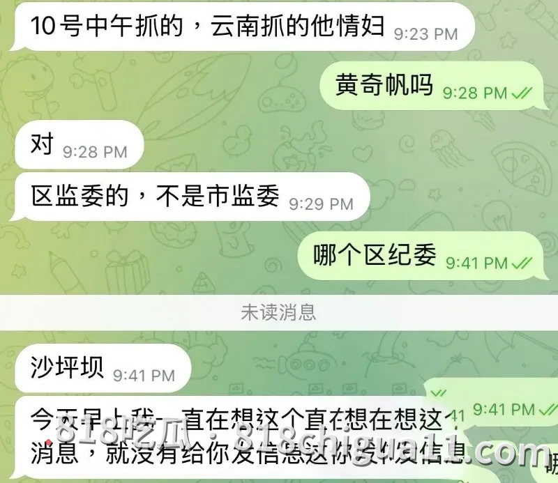 前重庆市市长黄奇帆涉嫌贪污腐败就此落马!隐藏多年的地下情人竟是律师彭静,终究还是倒在了女人的石榴裙下,不雅视频惨遭流出。