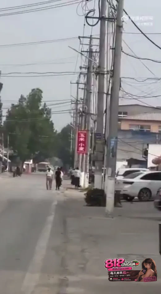 半年卧底遭遇“5分钟空城计”:代孕窝点是谁在通风报信?