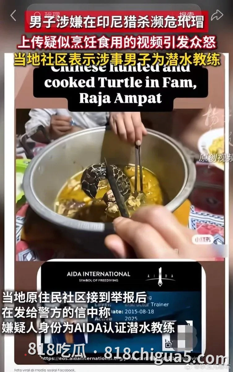 印尼四王群岛潜水教练魏尚射杀玳瑁烹食被捕，中国公民在全球海洋圣地作案，视频曝光后48小时落网，最高或判3-15年徒刑