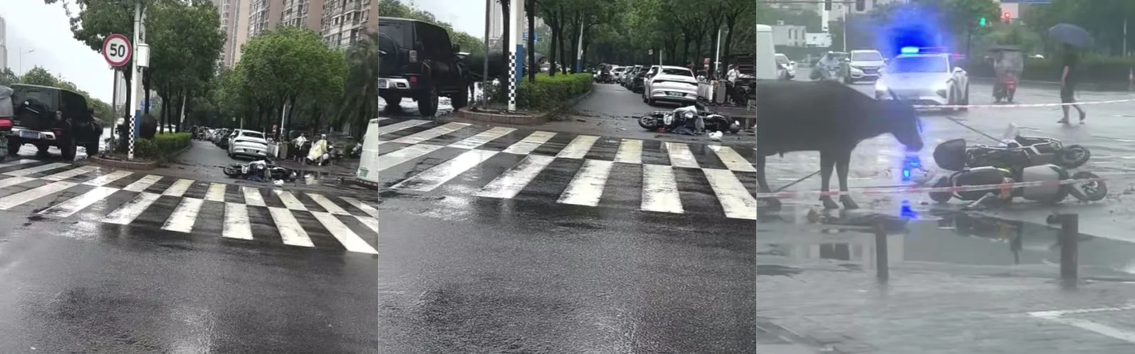 突发！宁德万安东路水牛失控连撞人车，警方紧急出手
