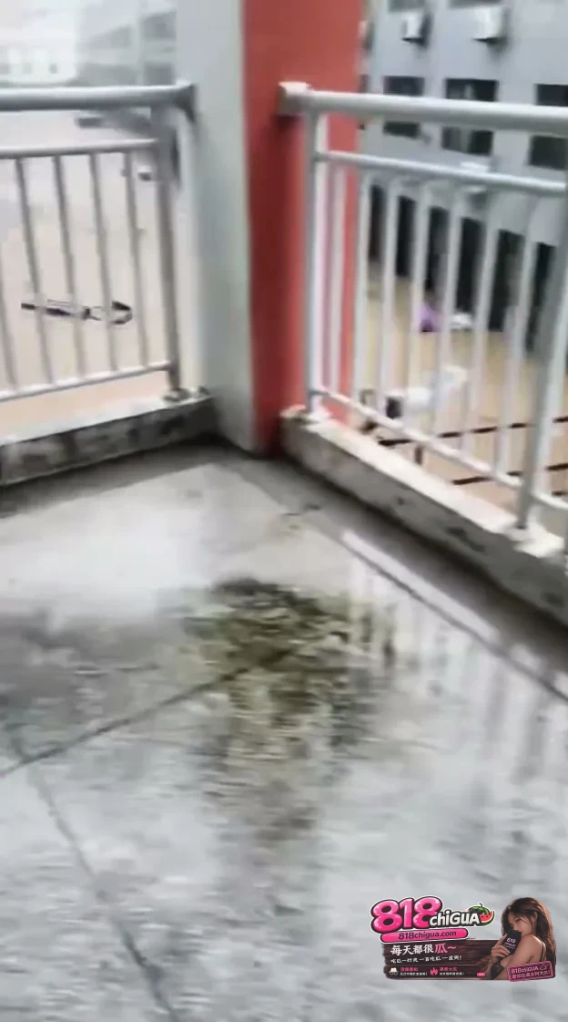 福建福鼎遭遇强降雨袭击!积水深重险象环生,愿福鼎同胞一切平安!
