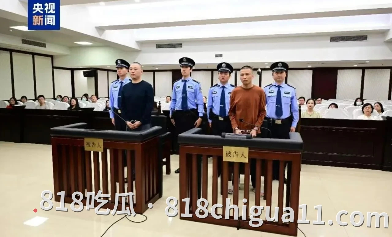 缅北亨利集团落幕:魏怀仁、陈大卫被判死刑