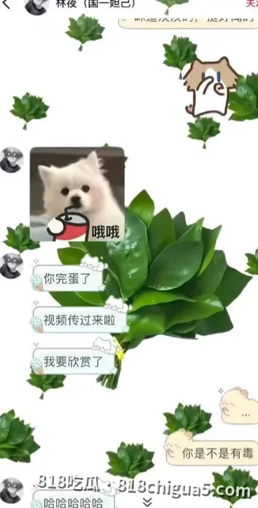 抖音王者主播林夜被曝约炮睡粉,露骨聊天记录+淫秽性爱视频曝光,人设彻底崩塌!