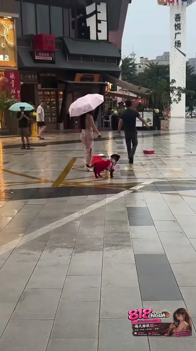 “我还不如你养的一条狗!”街头男子被妻子逼疯咆哮:我穿3年破袜子,你买万元包嫌我没用!