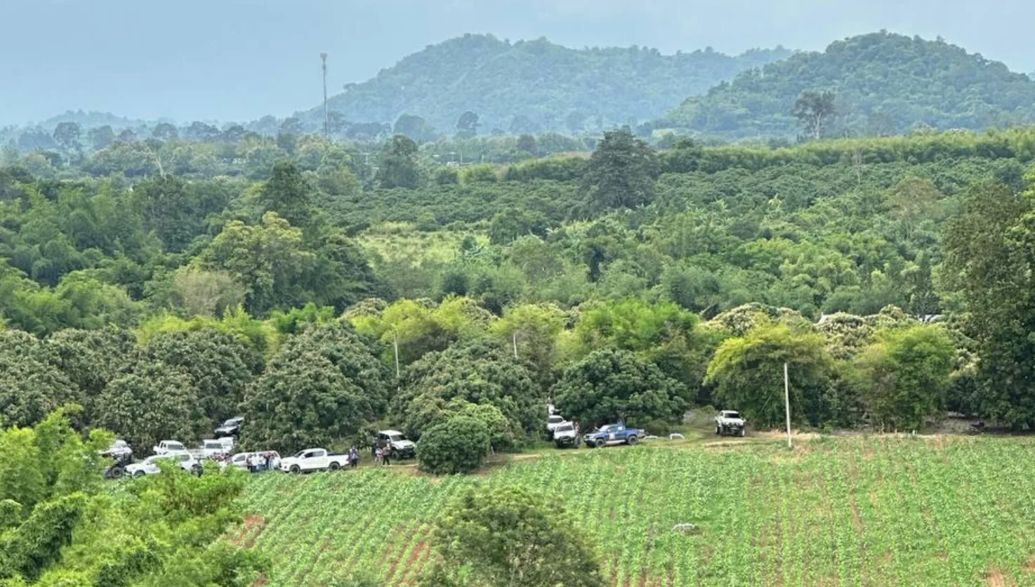 网友求助：我被骗到柬埔寨拜林，在山里面，敢跑抓住就打死