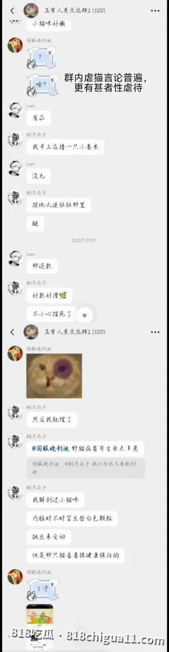 抖音千万粉丝训猫网红小峰私生活曝光:暗地里虐待宠物,同时偷拍女顾客私密照片,利用这些资源强暴母狗跟他做爱。