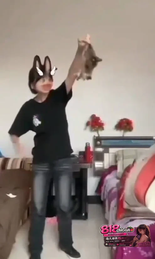 可以不爱,请别伤害!快手虐猫视频引发众怒!两名女生直播对猫咪实施伤害,事后狡辩称“猫咪患猫瘟”才这样的,网友质疑并要求道歉!