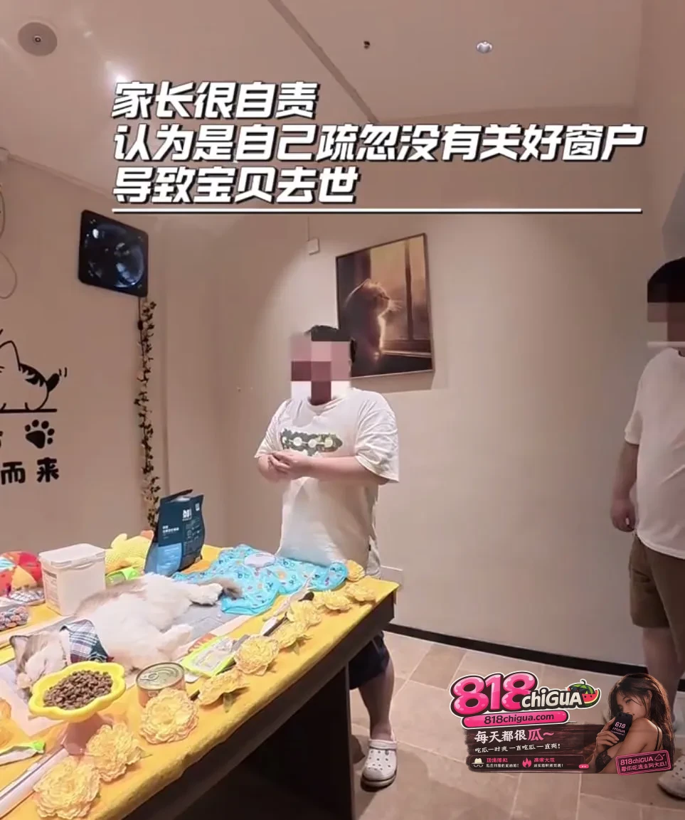 生孩子的越来越少,养宠物的越来越多!宠物殡葬成了下一个百亿风口?