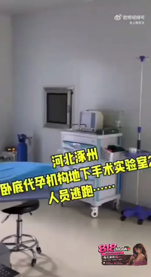 半年卧底遭遇“5分钟空城计”:代孕窝点是谁在通风报信?