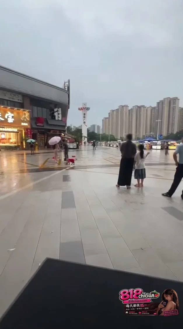 “我还不如你养的一条狗!”街头男子被妻子逼疯咆哮:我穿3年破袜子,你买万元包嫌我没用!