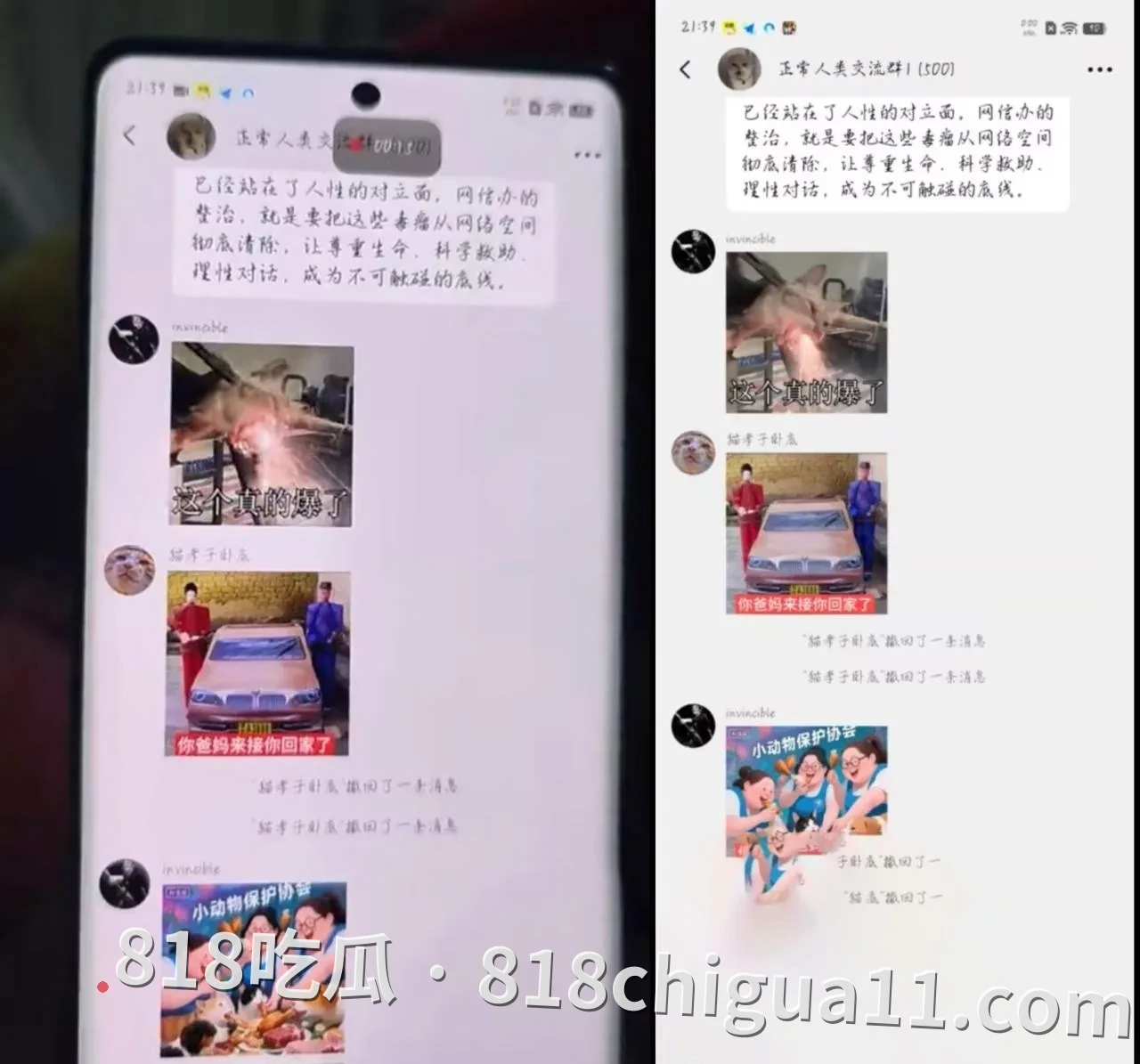 抖音千万粉丝训猫网红小峰私生活曝光:暗地里虐待宠物,同时偷拍女顾客私密照片,利用这些资源强暴母狗跟他做爱。