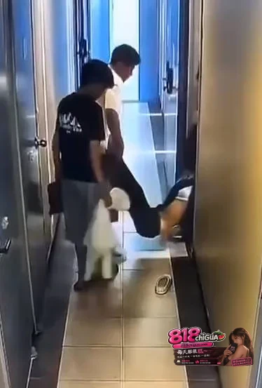 马鞍山醉酒女子被性侵致死,当涂县女子小娟与6名酒友饮酒至严重醉酒,被酒友抬入“香樟假日酒店”实施性侵!次日送医抢救无效因急性酒精中毒死亡!
