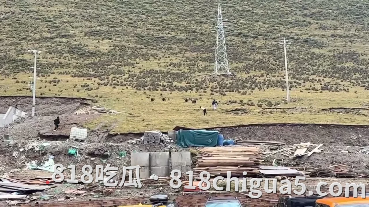 318国道萨普景区“藏马熊闯停车场”被藏民小伙冲上去硬怼!几头野兽差点吃游客,村民直接变“驱熊英雄”