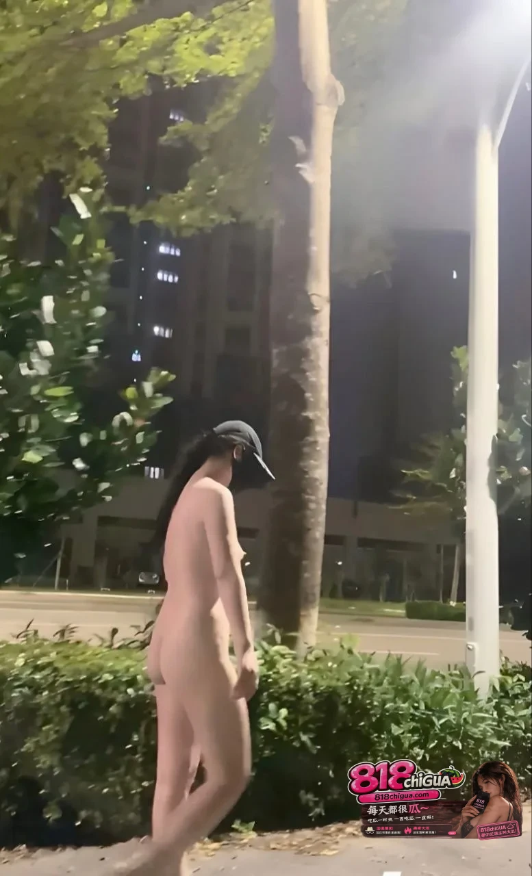 推特户外露出博主江小凡最新露出挑战从白天全裸走到晚上经过大街小区面不改色真是胆肥