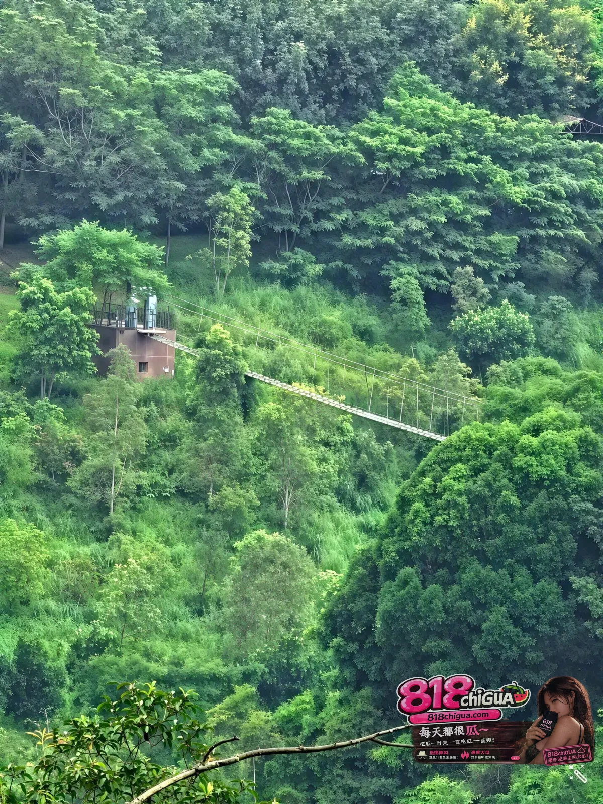 从“隐秘蓝楼”看跨境电诈的“监狱化”伪装与防范治理
