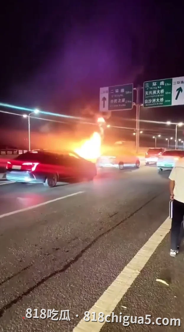 深夜惊魂！网传武汉岱黄高速府河大桥段突发严重车祸：车辆起火燃成空壳，安全驾驶警钟长鸣