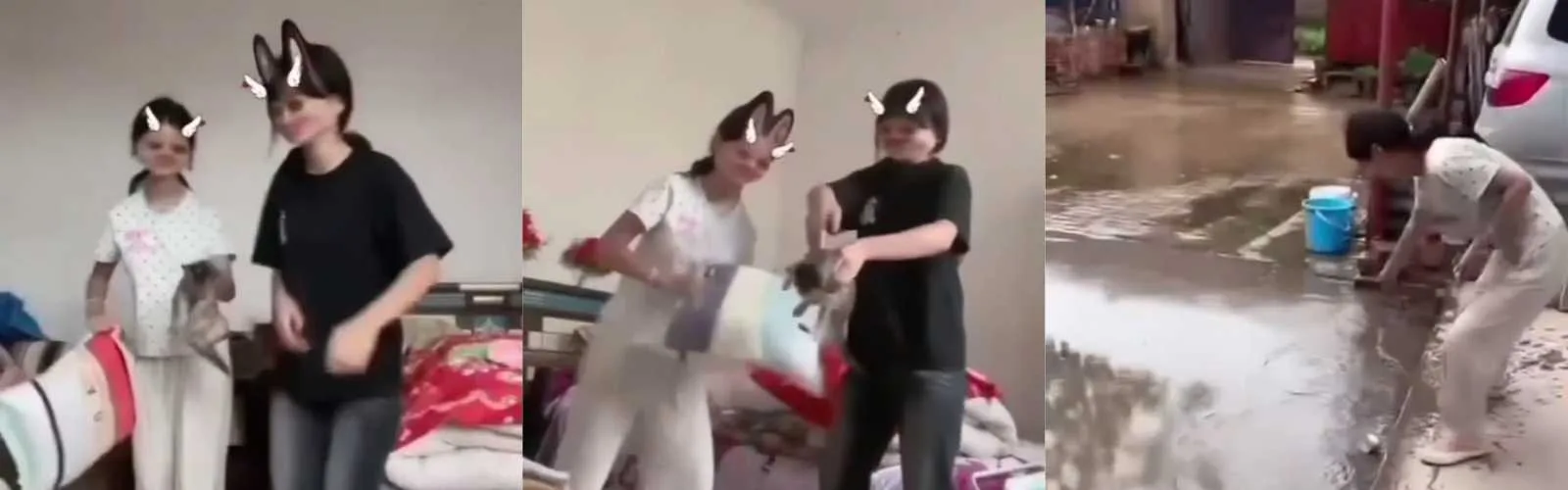 虐猫还拍视频博眼球？快手网红“牙不齐”、“白米粥”公然挑衅良知，必须永久封杀！