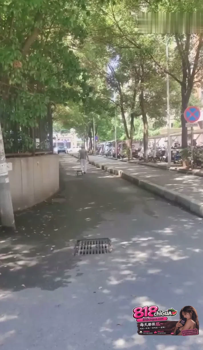 老人摔倒先拍视频再施救:这不是冷漠,而是普通人自保的“无奈与清醒”