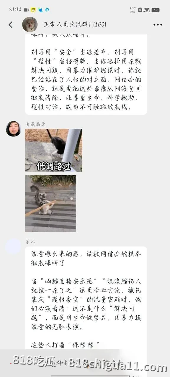 抖音千万粉丝训猫网红小峰私生活曝光:暗地里虐待宠物,同时偷拍女顾客私密照片,利用这些资源强暴母狗跟他做爱。