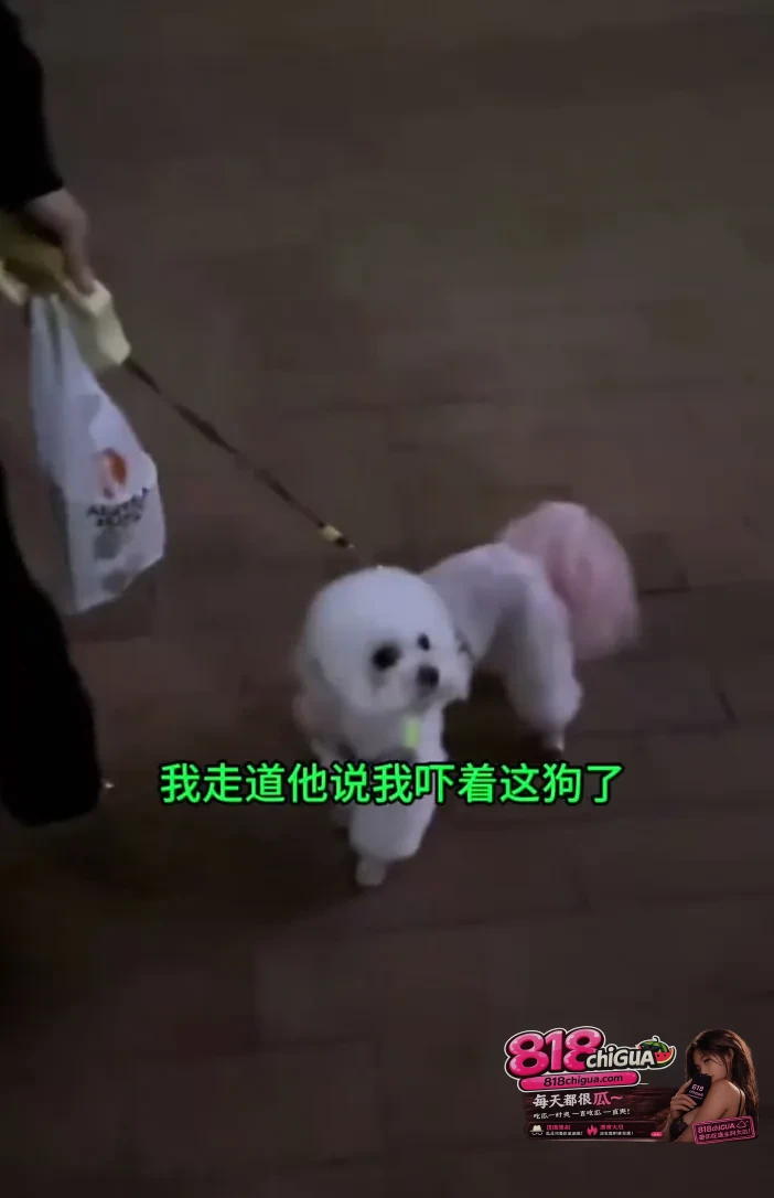不文明遛狗还有理了？女子防卫遭辱骂动手，别让自私的“爱犬巨婴”毁了小区安宁！