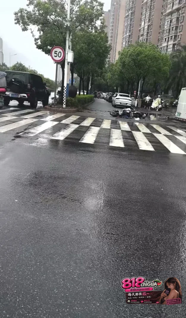 突发！宁德万安东路水牛失控连撞人车，警方紧急出手