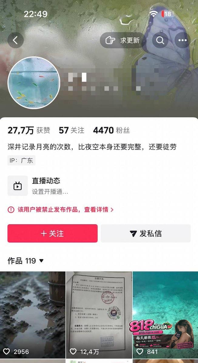 撕开热搜背后的迷雾:是苦难的控诉,还是流量的狂欢?