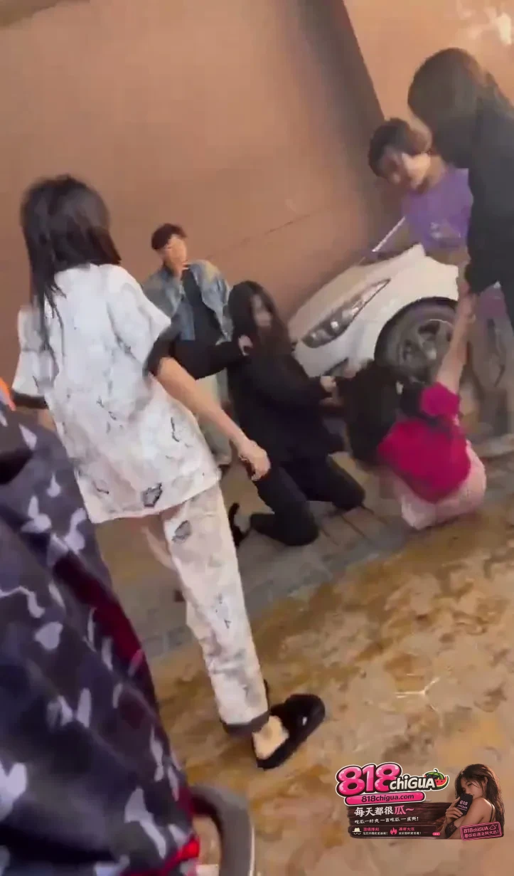 花季少年的暴力畸变:不良少女聚众斗殴,别把狂妄戾气当成“江湖义气”