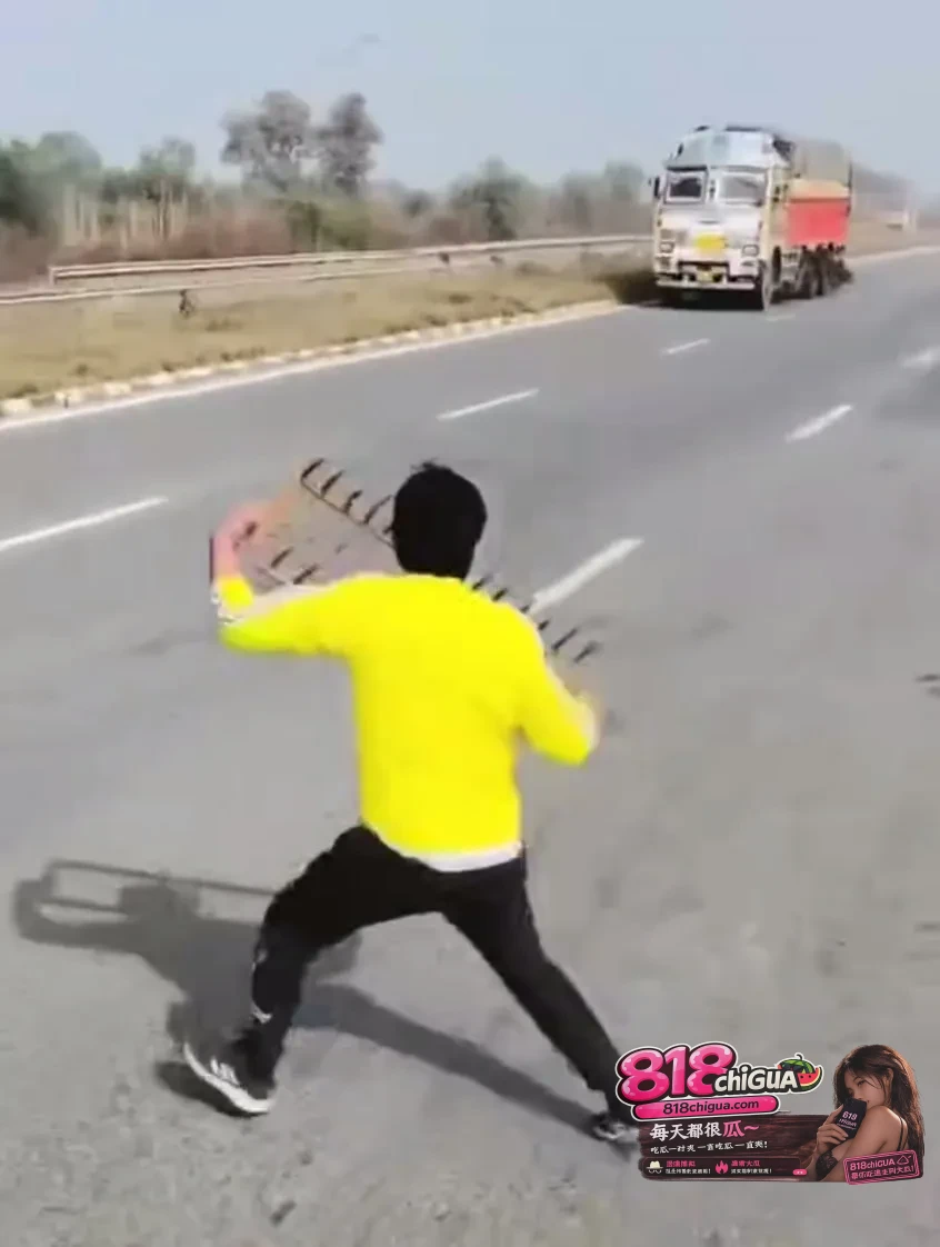 公路上的“疯狂麦克斯”：印度暴力“护牛”引发致命追逐，当信仰异化为法外狂徒