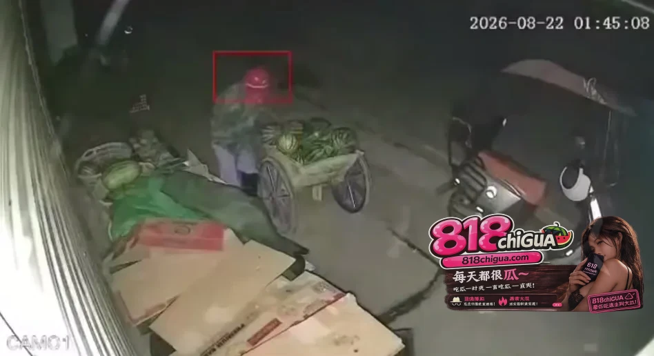 偷西瓜也算法网难逃!宣城宁国警方押解嫌犯指认现场,别拿“顺手牵羊”不当犯罪