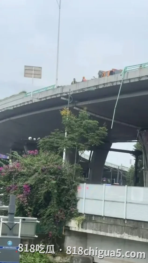 成都金丰高架越野车坠桥!7时42分清晨灾难,网友热心市民3分35秒拼出文明救援:护栏砸中电动二轮车,29岁司机抢救无效死亡,1死1轻伤!视频还原现场