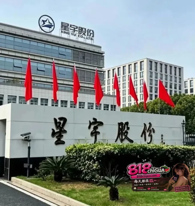 虚空停职？星宇股份被爆“查无此岗”，戳破了谁的问责假象
