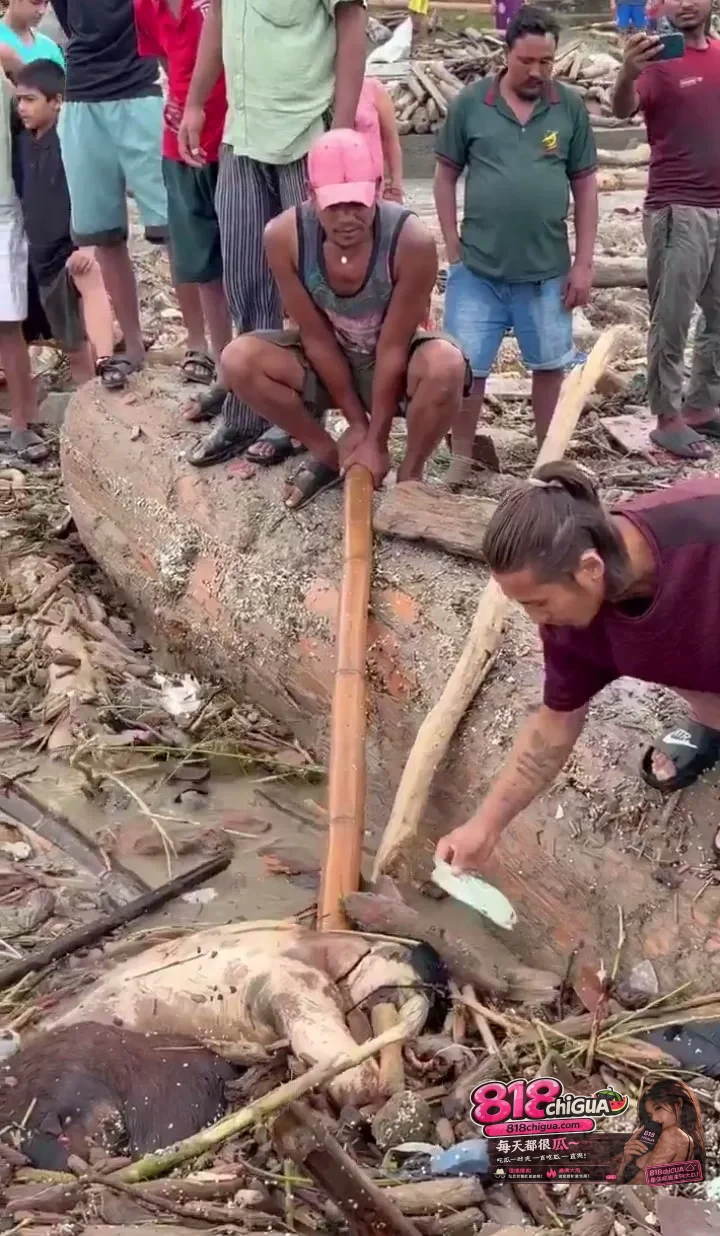 尼泊尔洪灾下的“吃绝户”丑闻：趁水打劫捞金不捞人，灾难是人性的终极试金石