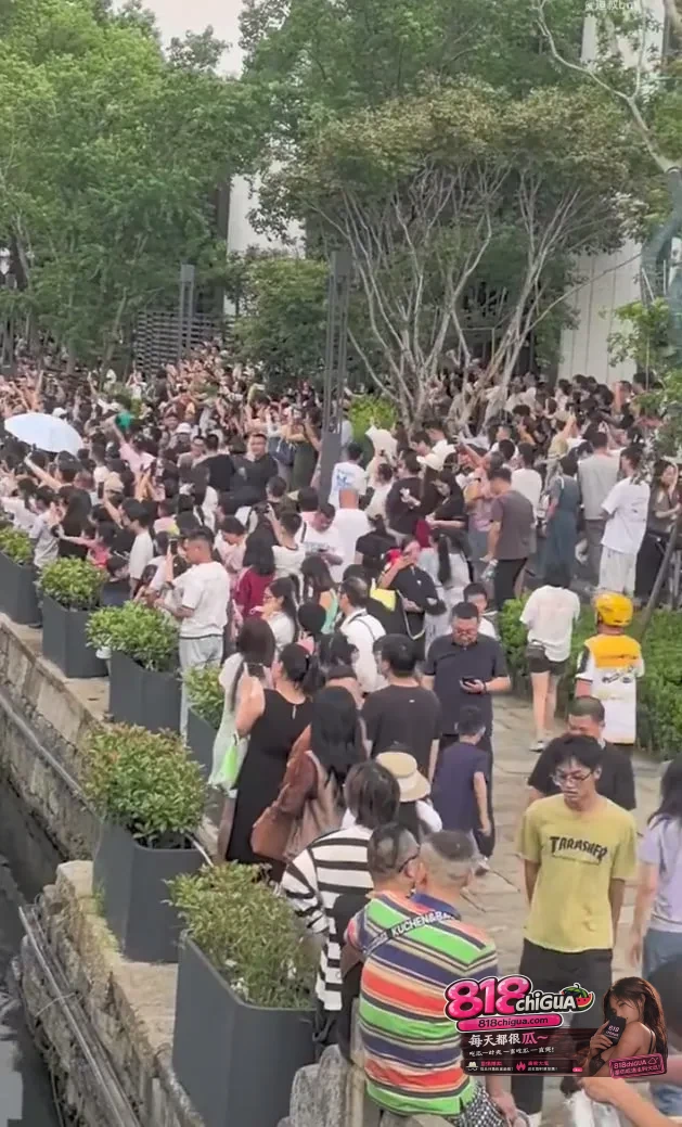逼爆老街、累倒奶奶、网红扮蛇精直播…目击者还原“葫芦娃爷爷”连夜剪葫芦无奈真相!