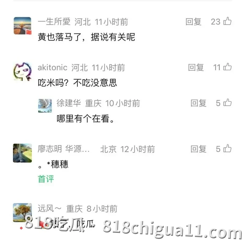 前重庆市市长黄奇帆涉嫌贪污腐败就此落马!隐藏多年的地下情人竟是律师彭静,终究还是倒在了女人的石榴裙下,不雅视频惨遭流出。