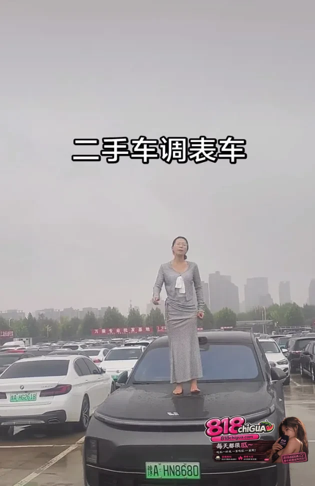 女生买二手理想却遭“调表”,维权之路成了买车人的辛酸血泪史!