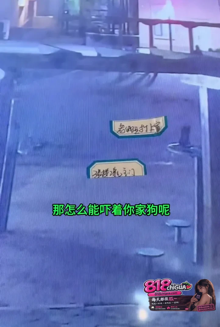 不文明遛狗还有理了?女子防卫遭辱骂动手,别让自私的“爱犬巨婴”毁了小区安宁!