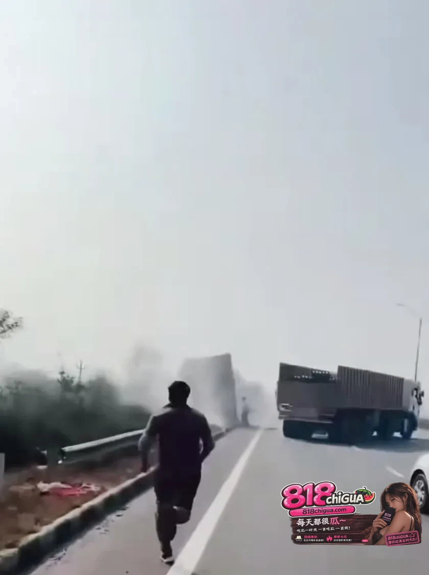 公路上的“疯狂麦克斯”:印度暴力“护牛”引发致命追逐,当信仰异化为法外狂徒