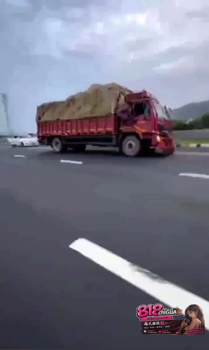 公路上的“疯狂麦克斯”:印度暴力“护牛”引发致命追逐,当信仰异化为法外狂徒